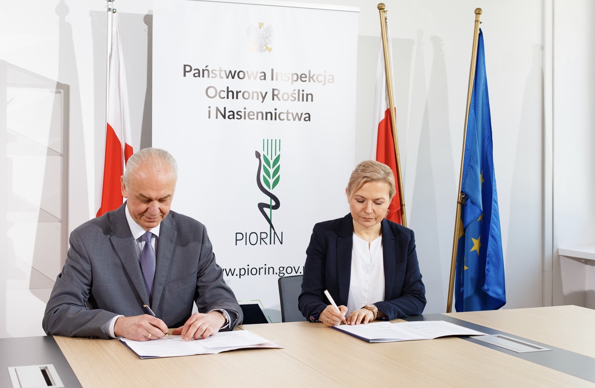 Porozumienie GIORiN i IZP w sprawie usprawnienia kontroli fitosanitarnej eksportowanych z Polski zbóż.